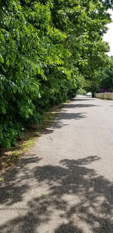 0 Alma Rd unit 72513381, Millis, MA 02054 - photo 7