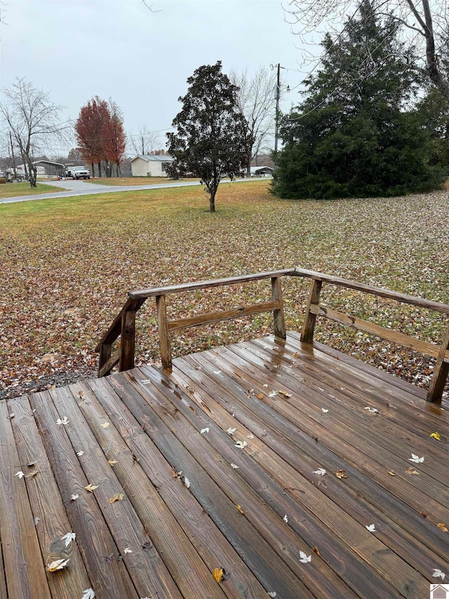 95 Juniper Ln, Calvert City, KY 42029 - photo 4