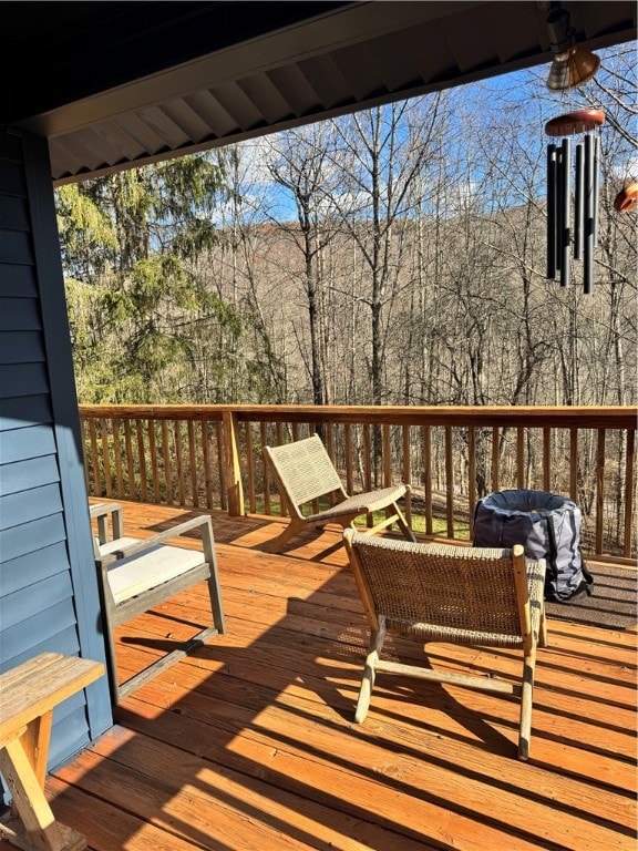 60 Gobblers Knob Rd, Delancey, NY 13752 - photo 5