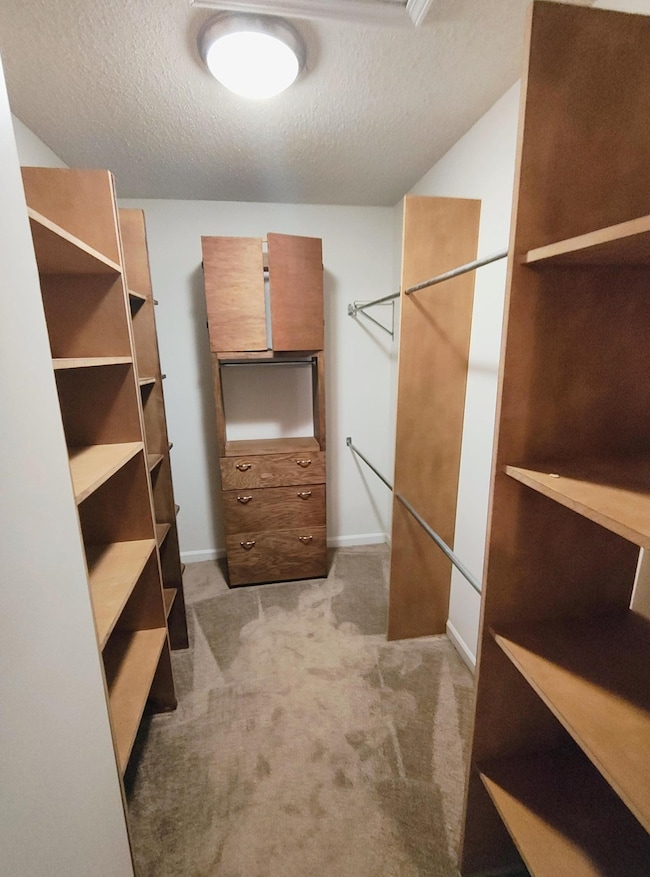 Walk in closet featuring carpet flooring