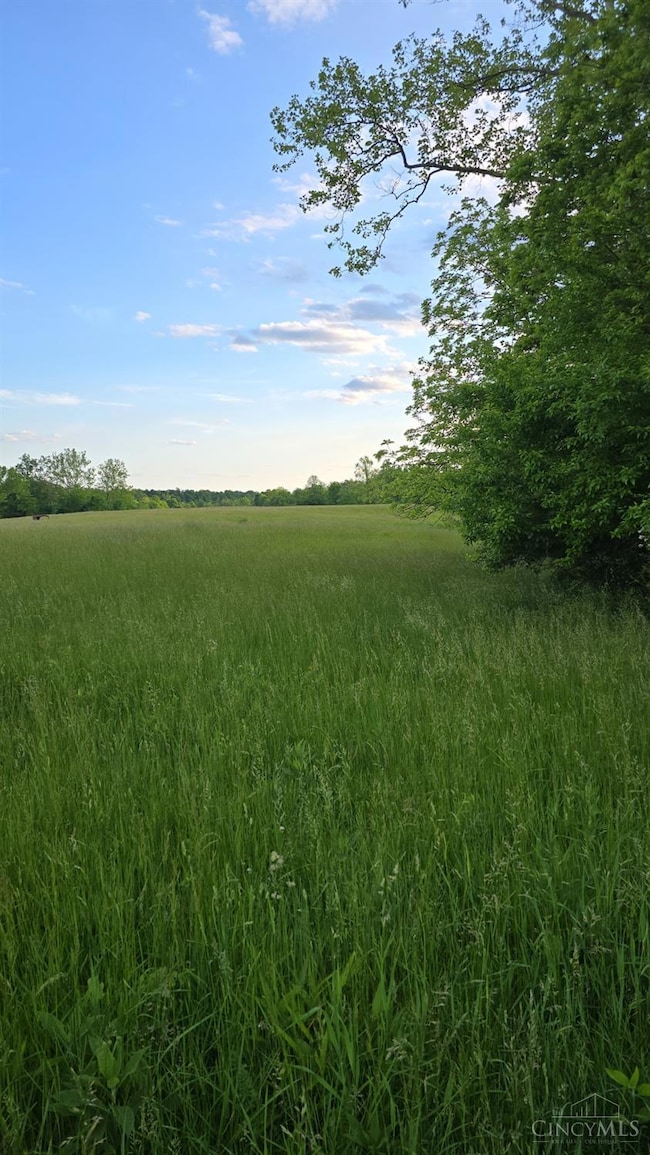 ac Beech Rd, Franklin Township, OH 45106 - photo 6