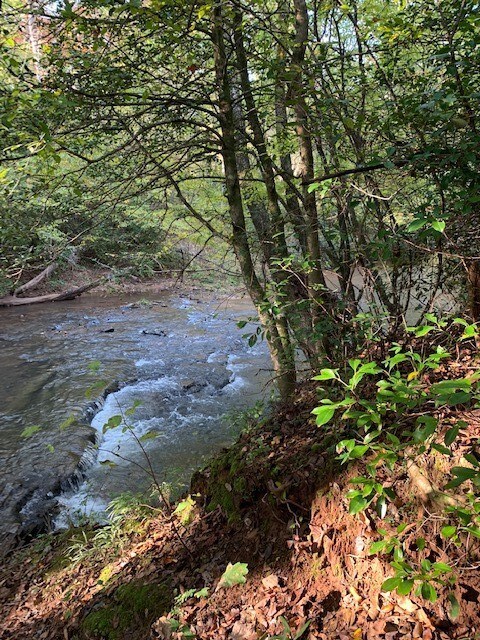 00 Scenic Heights Rd, West Union, SC 29696 - photo 4