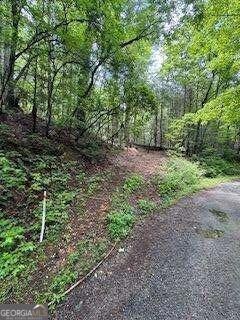 0 Ts Jarrard Rd Unit Tract 3 #192 unit 10655414, Dahlonega, GA 30533 - photo 7