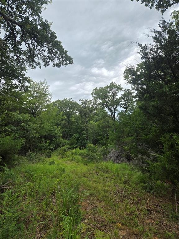 View of wooded area