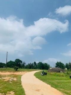 8705 Old Agnes Rd, Poolville, TX 76487 - photo 4