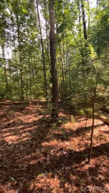 0 Bohannons Landing unit 2232256, Dunnsville, VA 22454 - photo 2