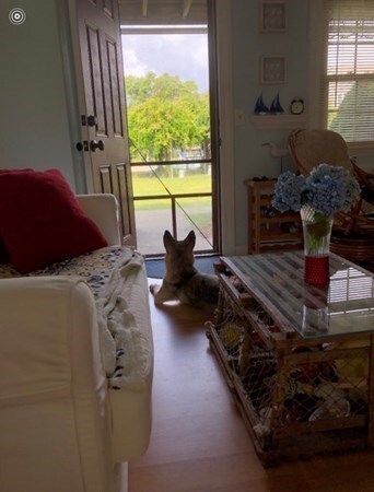 141 Main St unit 2, South Dennis, MA 02660 - photo 4