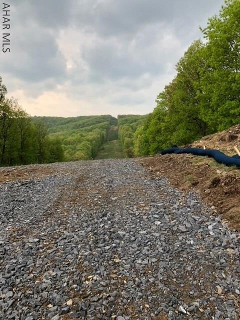 561 Pensyl Hollow Rd, Bedford, PA 15522 - photo 6