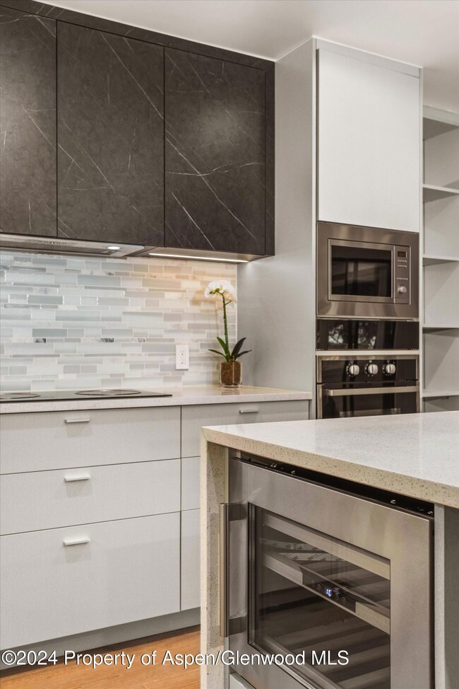 790 W Hallam St unit 2, Aspen, CO 81611 - photo 5