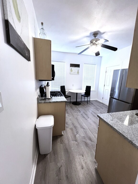 199 Brunswick St unit 1, Dorchester, MA 02121 - photo 5