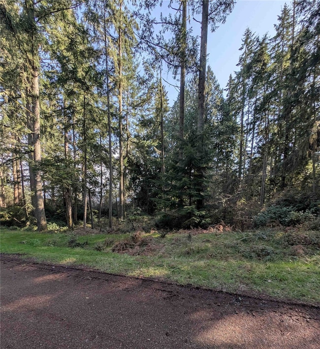 10325 Totem Way, Anderson Island, WA 98303 - photo 2