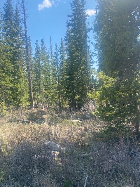 0 Tbd unit S1027519, Fairplay, CO 80440 - photo 5