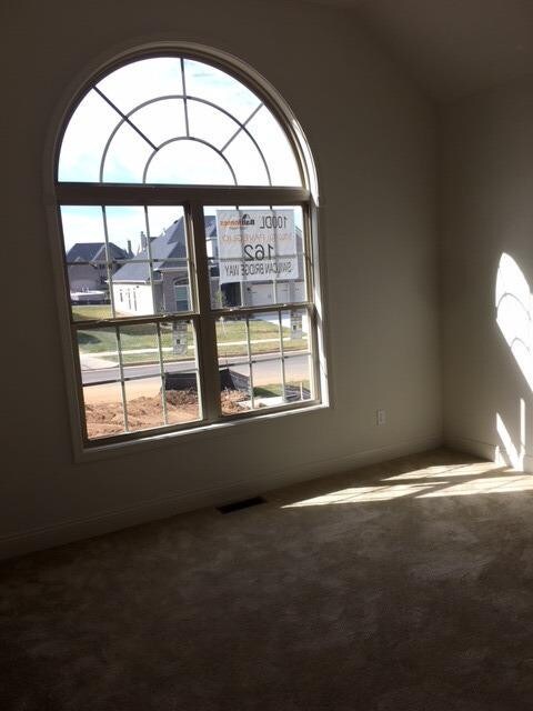 162 Swilcan Bridge Way, Georgetown, KY 40324 - photo 3