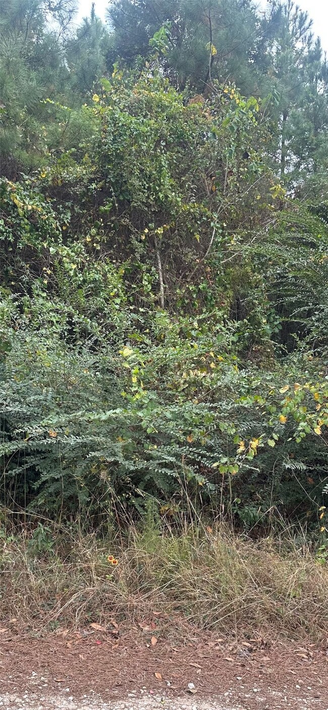 TBD Williams Dr, Livingston, TX 77351 - photo 2