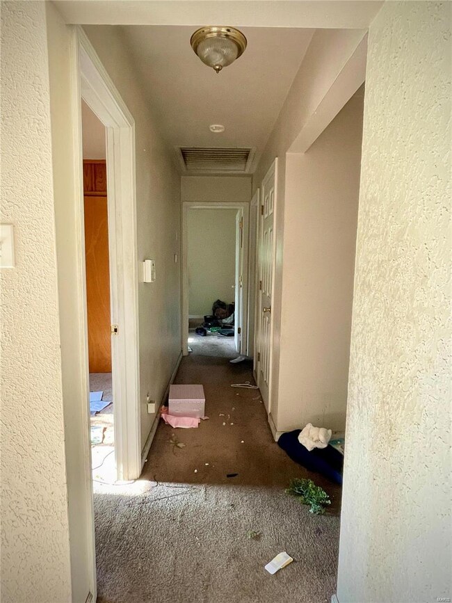 Main hallway to bedrooms/bathrooms