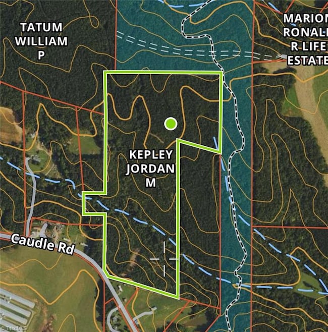 00 Caudle Rd, Pinnacle, NC 27043 - photo 6