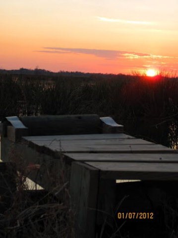 Lot 4 Carnochan Ln SE, Darien, GA 31305 - photo 7