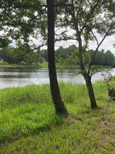 2534 Blue Lake Dr, Magnolia, TX 77354 - photo 7