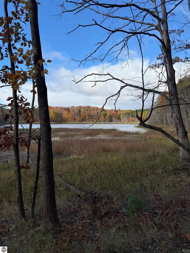 0 S Fritz Rd unit 1939042, Empire, MI 49630 - photo 2