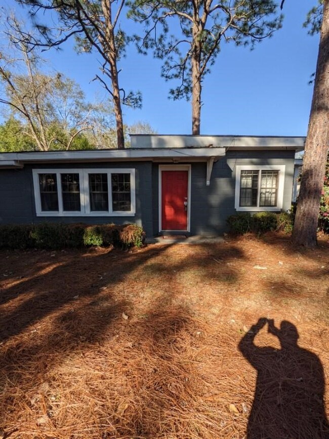 501 N Chester Ave, Douglas, GA 31533 - photo 6