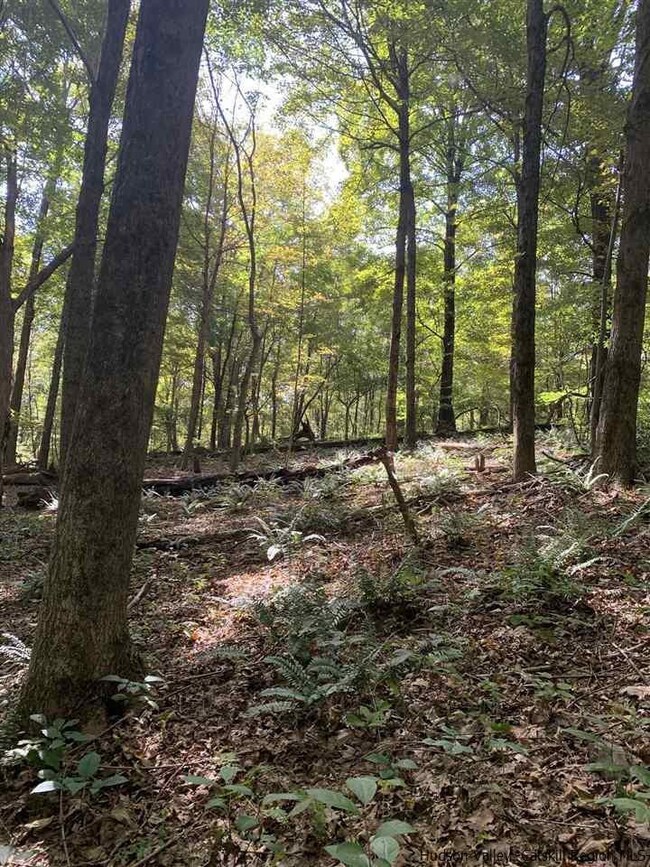 516 Swartekill Rd, New Paltz, NY 12561 - photo 3