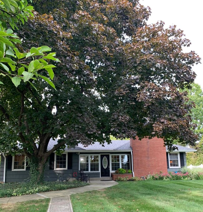 Large front yard