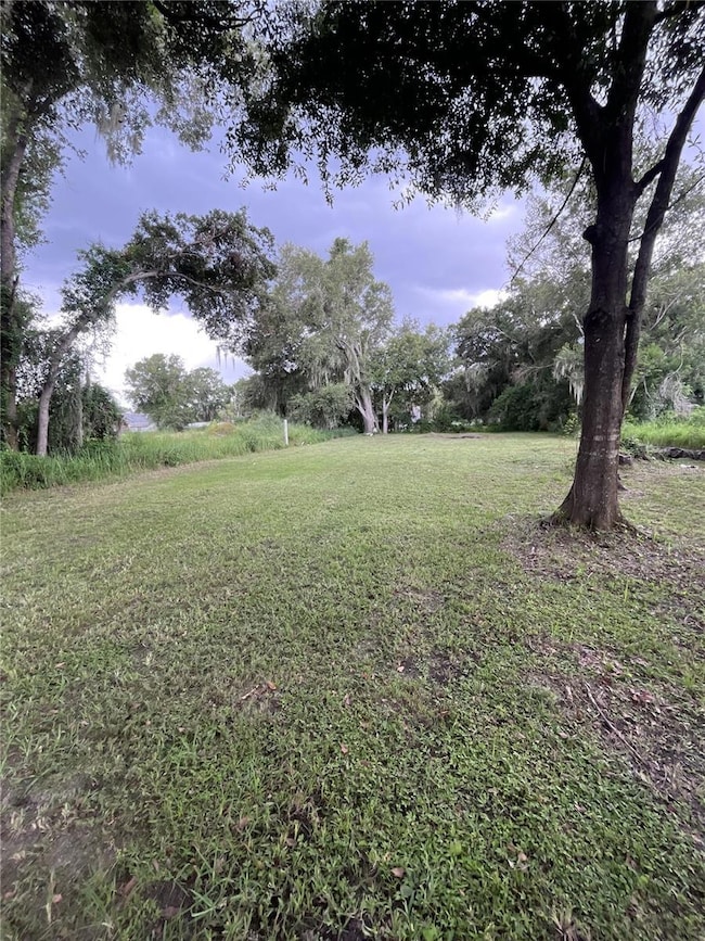 711 S Marshall St, Plant City, FL 33563 - photo 2