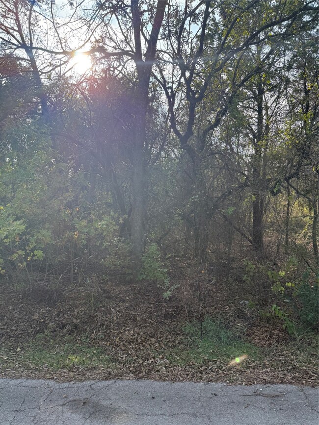 4948 Cimmaron Trail, Weatherford, TX 76087 - photo 4