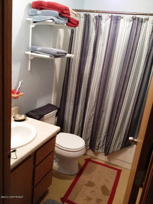 lower bathroom