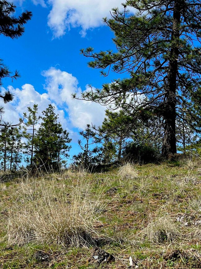 34430 N Partridge Ln N, Davenport, WA 99122 - photo 5