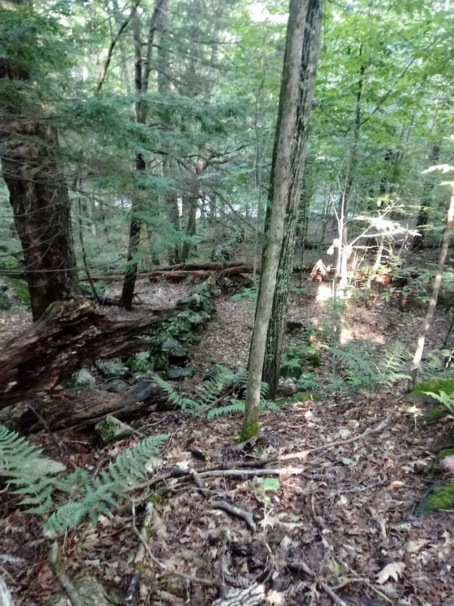 420 Sutton Rd, Newbury, NH 03255 - photo 5