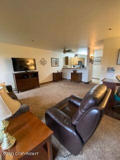 living room 233