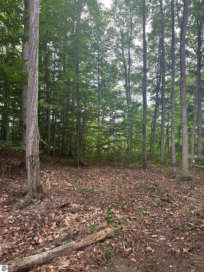 11599 S Tower Rd, Kasson Township, MI 49664 - photo 7