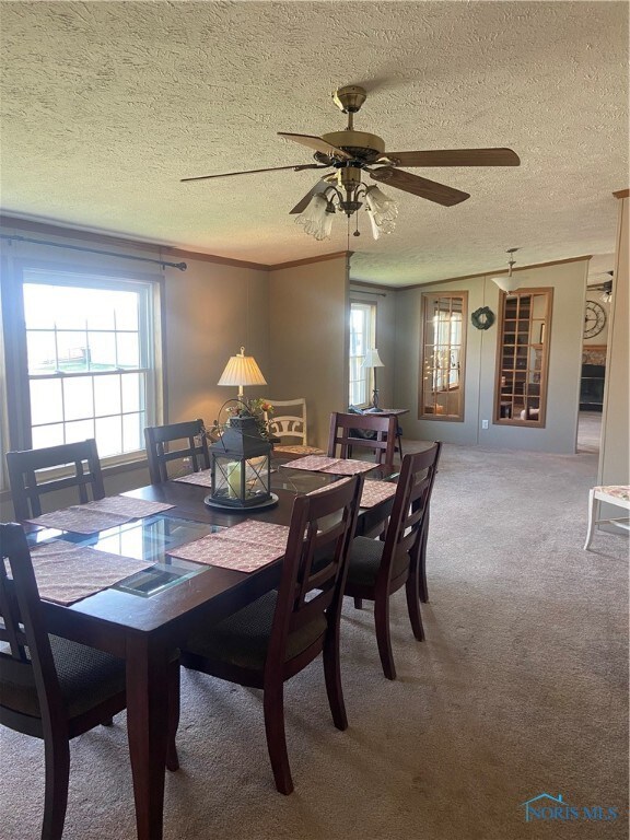 1380 Delwood Ave, Findlay, OH 45840 - photo 7