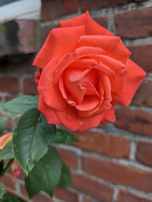 33 Curtis Ave, Quincy, MA 02169 - photo 5