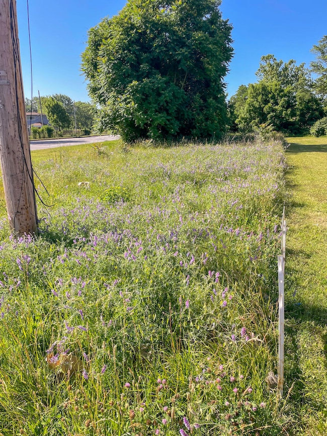 992 Highland Ave, Benton Harbor, MI 49022 - photo 4