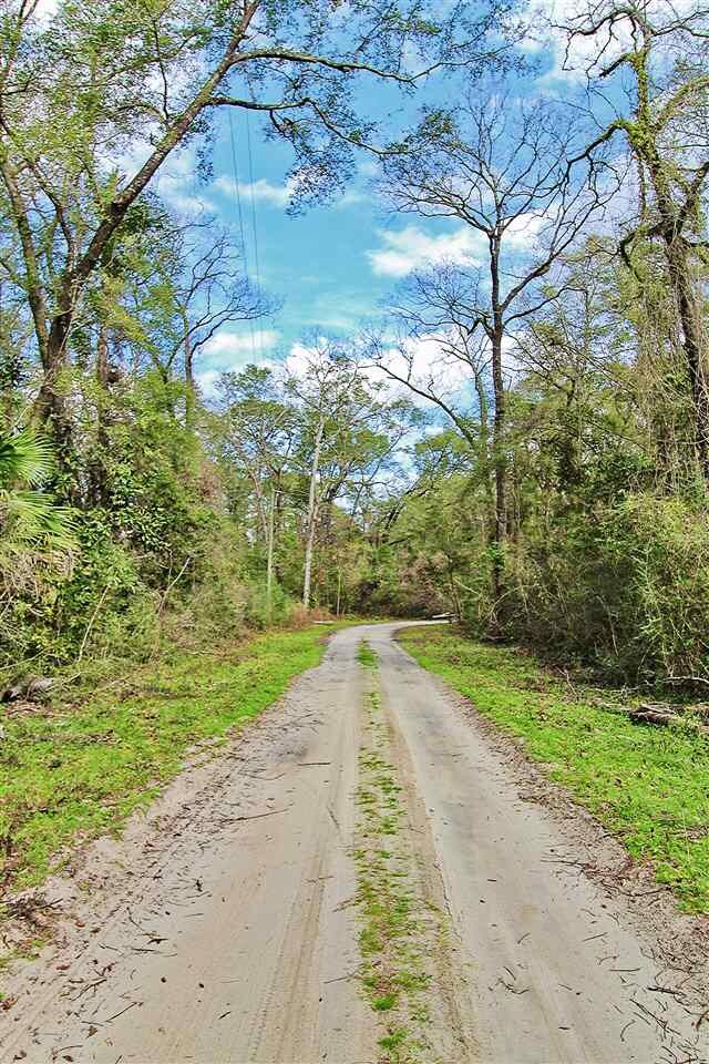 0 San Peoro Dr unit 315966, Crawfordville, FL 32327 - photo 4