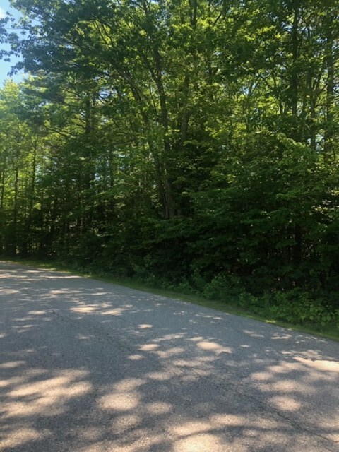TM 56-1-31 Tupeck Ln, Tuftonboro, NH 03816 - photo 2