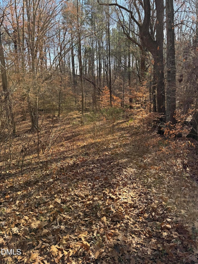 00 Matthew Dr, Henderson, NC 27537 - photo 5