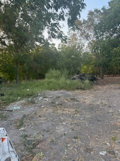 742 Lovers Ln, Houston, TX 77091 - photo 4