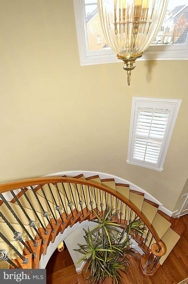 43669 Palmetto Dunes Terrace, Leesburg, VA 20176 - photo 3