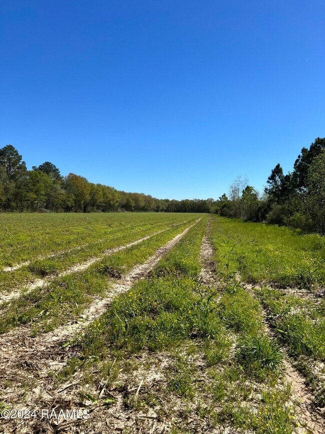 Tbd Mire Hwy, Rayne, LA 70578 - photo 3