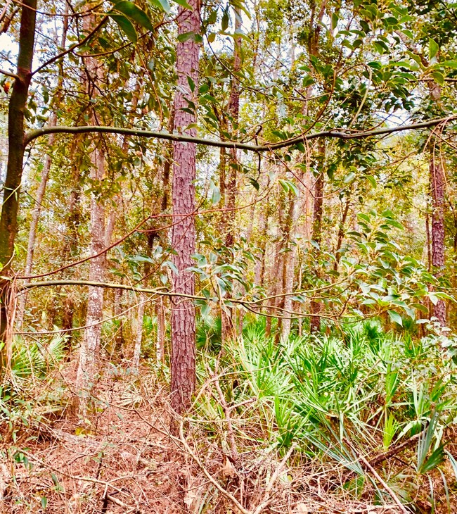 0 W Pine Estates Rd unit 978833, Jacksonville, FL 32218 - photo 2