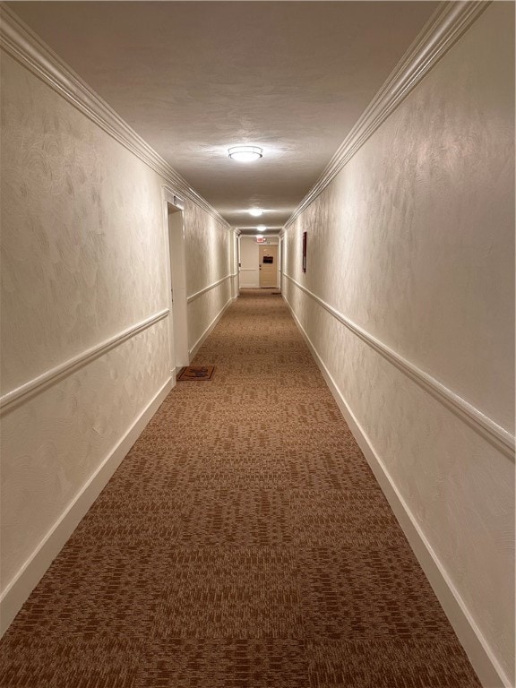 3rd Floor Hallway