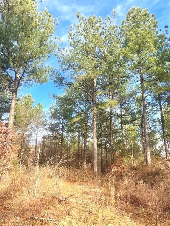 730 Timber Creek Trails South XI, Broken Bow, OK 74728 - photo 2