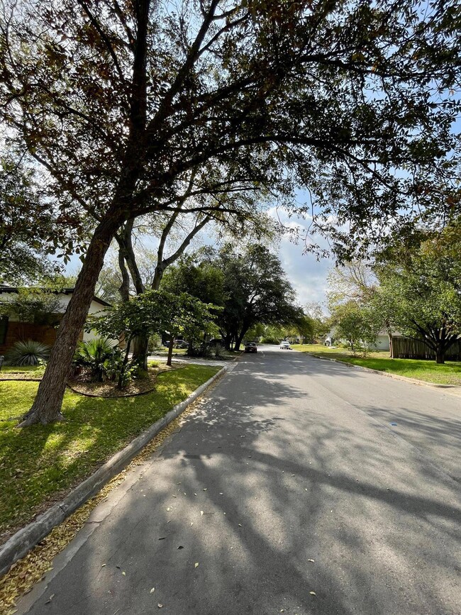 4901 W Park Dr, Austin, TX 78731 - photo 6