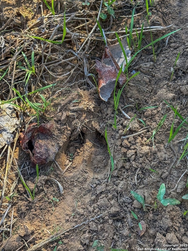 000 TRACT 3 & 5 Farm To Market Road 539, La Vernia, TX 78121 - photo 3