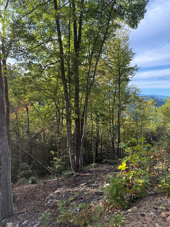 345 Cardinal Bluff Dr, Whittier, NC 28789 - photo 4