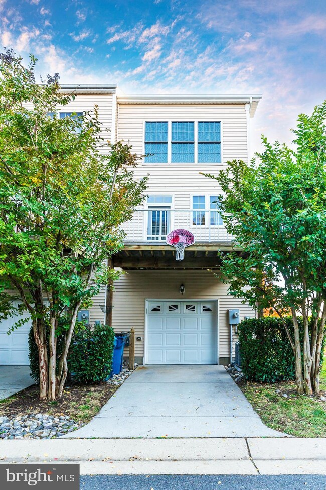 25033 Riding Center Dr, Chantilly, VA 20152 - photo 6