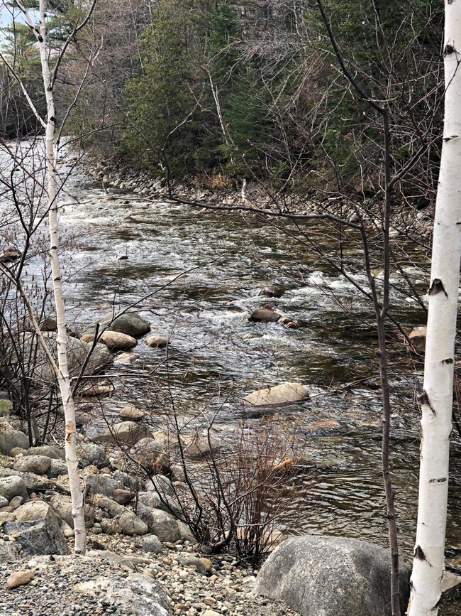 View of Swift River across road